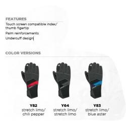 Rękawice narciarskie Dainese HP1 Gloves Czarne